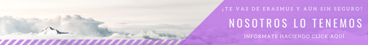 Banner Erasmus