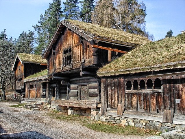 Vikingos